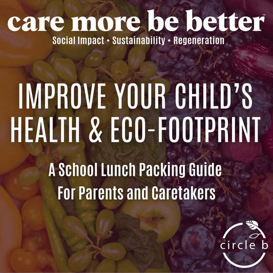 Improve Your Child's Health & Eco-Footprint: A School Lunch Packing Guide For Parents