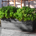 Load image into Gallery viewer, Elevated Mobile Planter by Watex
