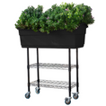 Load image into Gallery viewer, Elevated Mobile Planter by Watex
