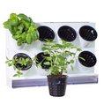 Load image into Gallery viewer, Countertop Garden Kit by Watex
