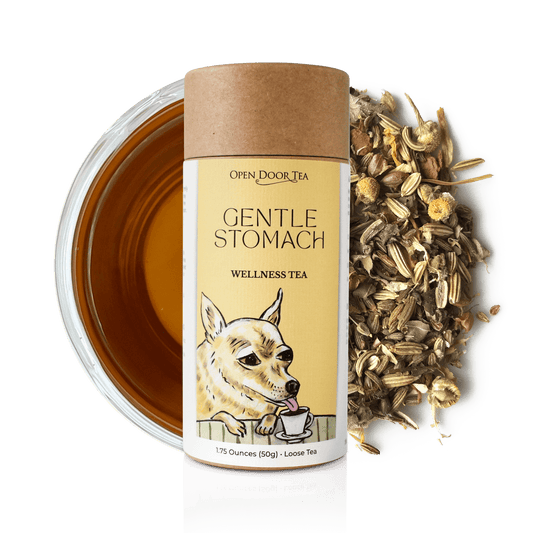 Gentle Stomach by Open Door Tea CT