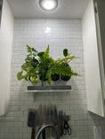 Load image into Gallery viewer, Countertop Garden Kit by Watex
