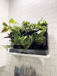 Load image into Gallery viewer, Countertop Garden Kit by Watex
