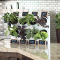 Load image into Gallery viewer, Countertop Garden Kit by Watex
