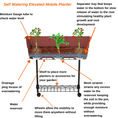 Load image into Gallery viewer, Elevated Mobile Planter by Watex
