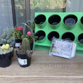 Load image into Gallery viewer, Countertop Garden Kit by Watex
