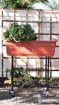 Load image into Gallery viewer, Elevated Mobile Planter by Watex
