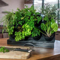 Load image into Gallery viewer, Countertop Garden Kit by Watex
