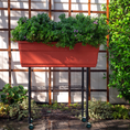 Load image into Gallery viewer, Elevated Mobile Planter by Watex
