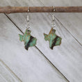 Load image into Gallery viewer, Texas State Wooden Dangle Earrings by Cate's Concepts, LLC
