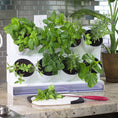 Load image into Gallery viewer, Countertop Garden Kit by Watex
